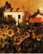 Gustave Caillebotte Sunflowers, Garden at Petit Gennevilliers china oil painting reproduction